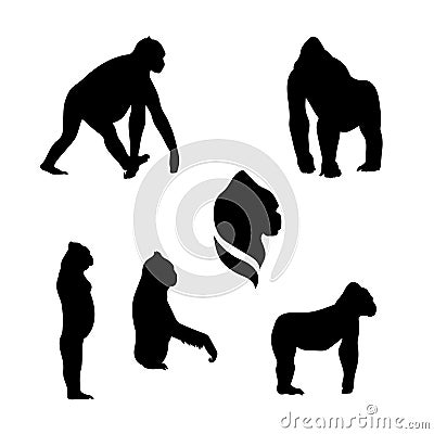 Gorilla monkey vector silhouettes Vector Illustration