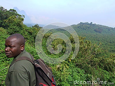 Gorilla Trek Editorial Stock Photo