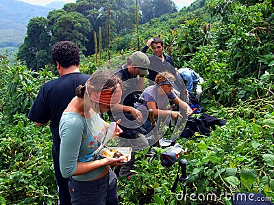 Gorilla Trek Editorial Stock Photo