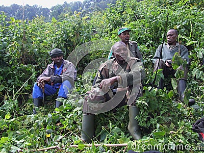 Gorilla Trek Editorial Stock Photo