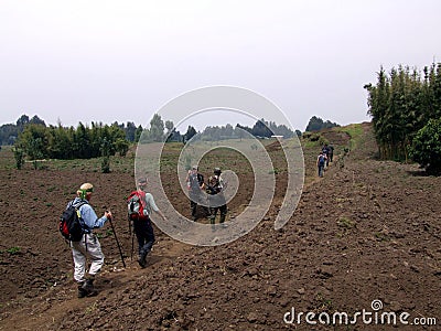 Gorilla Trek Editorial Stock Photo