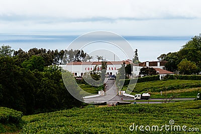 Gorreana Tea plantation in Sao Miguel Island, Azores Editorial Stock Photo