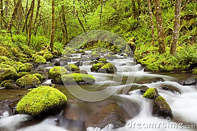 Gorton Creek in the Columbia River Gorge, Oregon, USA Stock Photo