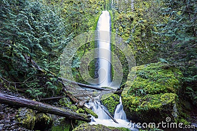 Gorton Creek Falls, Columbia River Gorge, Oregon. Secluded 150 foot tall waterfall, stunning natural waterfall Stock Photo