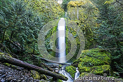 Gorton Creek Falls, Columbia River Gorge, Oregon. Secluded 150 foot tall waterfall, stunning natural waterfall Stock Photo