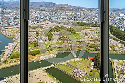 Goryokaku Tower Observation Deck command entire view of the park Stock Photo