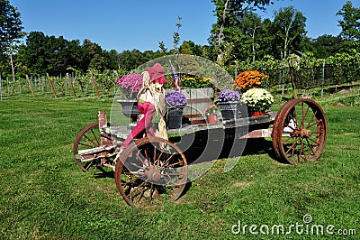 Goshen, CT: Farm Wagon with Fall Flowers Stock Photo