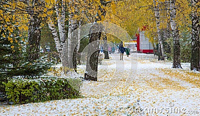 We got our first snow of the season during the night, dusting in the fall with sugar in the winter. Melted where the sun touched, Editorial Stock Photo