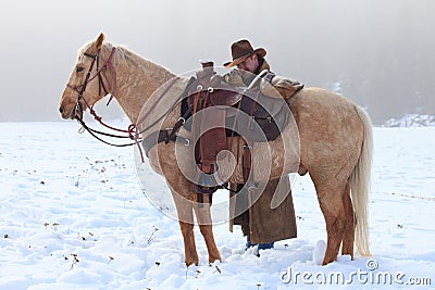 Got you in my sights Editorial Stock Photo