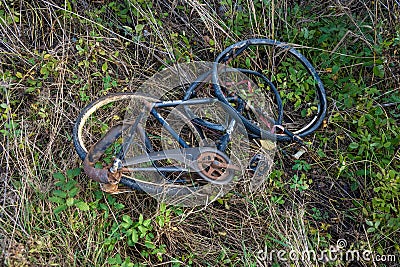 A broken bike found in tall grass.. Editorial Stock Photo