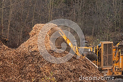 Wood chips dumped in a pile by a large industrial wood chipper.. Editorial Stock Photo