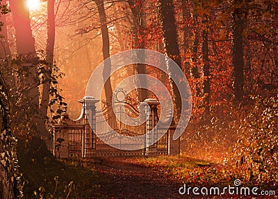 Gothic Gate Blocking a Foot Path in Forest Stock Photo