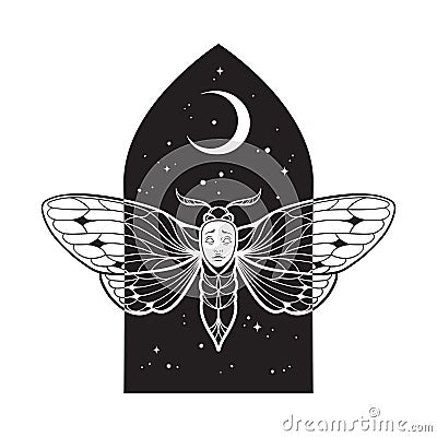 Gothic moth with face over night sky with crescent moon hand drawn line art gothic tattoo design isolated vector illustration Vector Illustration