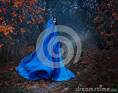 Gothic mysterious woman walks in fantasy autumn forest. long silk blue cloak flutters, waving fly in wind, fabric in Stock Photo