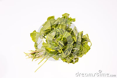 Gotu kola Stock Photo