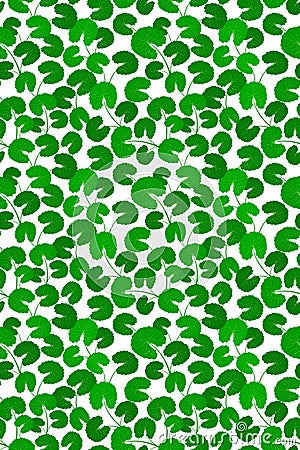Fresh green leaf seamless pattern. Centella asiatica vector illustration. Gotu kola repeated texture. Asian pennywort Cartoon Illustration
