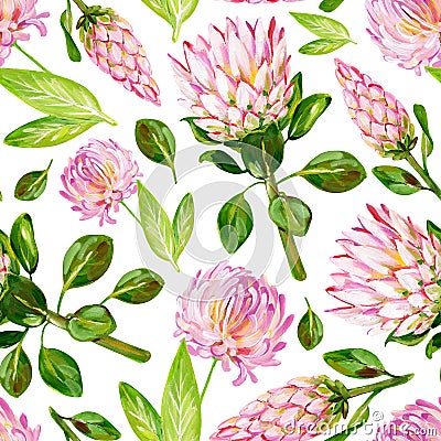 Gouache floral pink seamless pattern with Protea and Chrysanthemum Stock Photo