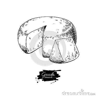 Gouda cheese block drawing. Vector hand drawn food sketch. Engraved Slice cut. Vector Illustration