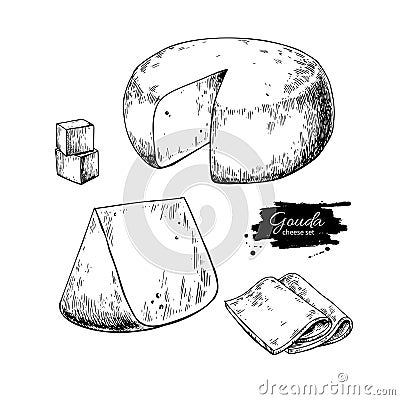 Gouda cheese block drawing. Vector hand drawn food sketch. Engraved Slice cut. Vector Illustration