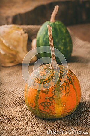 Gourds still life studio shot. Stock Photo