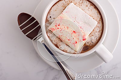 Gourmet hot chocolate with home-made marshmallow and chocolate co Stock Photo