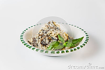 Gourmet italian dish risotto with mushrooms Stock Photo