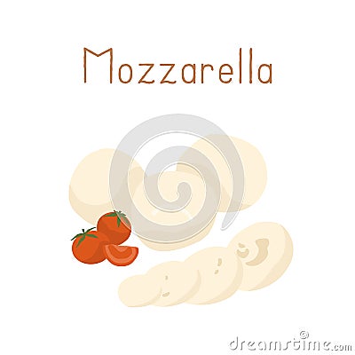 Gourmet Italian Mozzarella cheese with cherry tomatoes. Whole Mozarella balls and its cut pieces. Colored flat vector Vector Illustration
