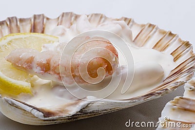 Gourmet large shrimps salad Stock Photo