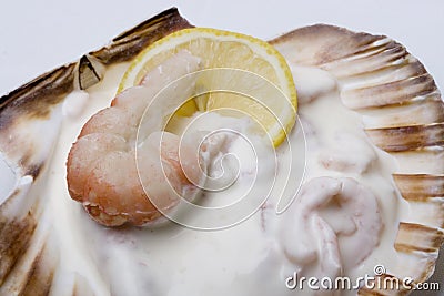 Gourmet large shrimps salad Stock Photo