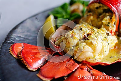 Gourmet lobster dinner at the restaurant Stock Photo