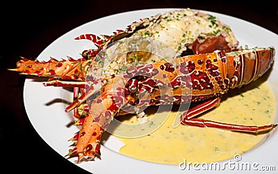 Gourmet lobster with sauce at the restaurant Stock Photo