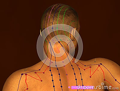 Acupuncture Point GV11 Shendao, 3D Illustration, Brown Background Stock Photo