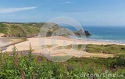 The Gower South Wales Three Cliffs Bay with pink flowers near to Oxwich Stock Photo