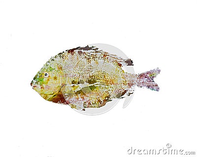Goyutaku Fish Print Stock Photo