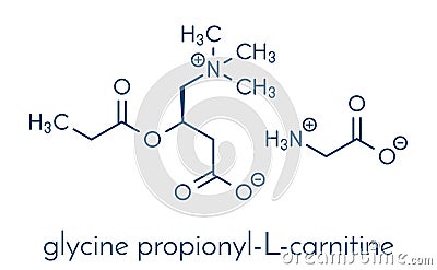 GPLC glycine propionyl-L-carnitine nutritional supplement molecule. Skeletal formula. Vector Illustration