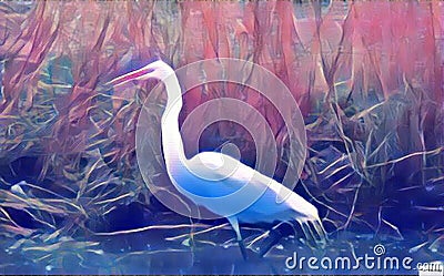 Graceful White Egret in the water Stock Photo