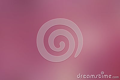 Gradient abstract background red, berri, flower, petal, with copy space Stock Photo