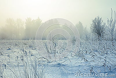 Gradient colorize snowy landscape with snow fog Stock Photo