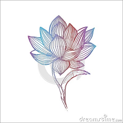 Gradient lotus illustration made by freehand lines. Tattoo idea. Cartoon Illustration