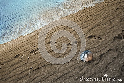 Gradual Color Change in Seashell Stock Photo