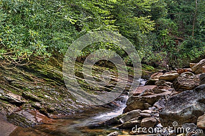 Gradual Waterfall along a mossy rockface in the forest of the Great Smokey Mountain National Park Stock Photo