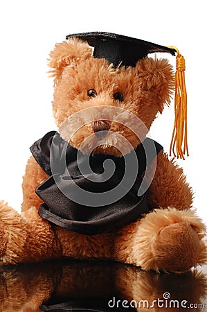 Graduation bear Stock Photo