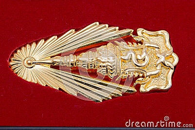 Graduation Brooch in university Stock Photo