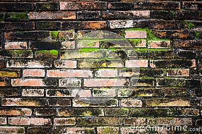Graffiti brick wall, colorful background Cartoon Illustration