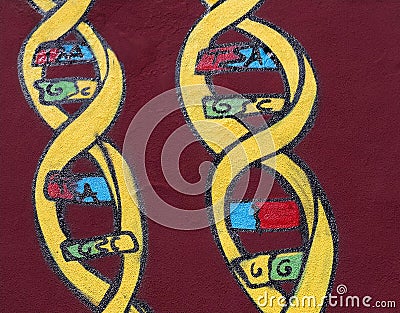 Graffiti of DNA strands on a red wall Stock Photo