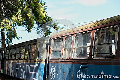 Graffiti on Old Decommissioned Train Carriages, Editorial Stock Photo