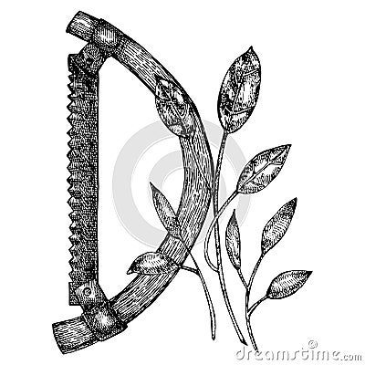 Grafic illustration of garden tools. Isolated on white background. Vector Illustration