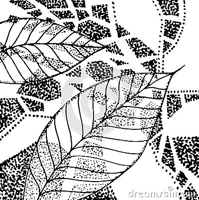 Black and white grafic leaves Vector Illustration