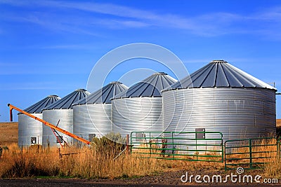 Grain Bins on the Prairie Stock Photo