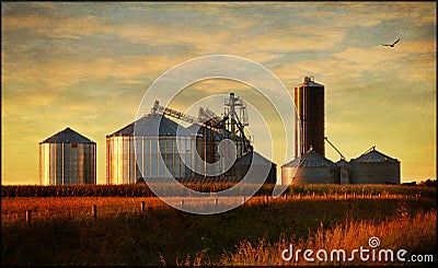 Grain bins Stock Photo